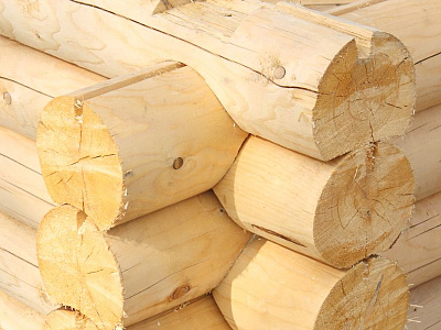 Дом из бревна